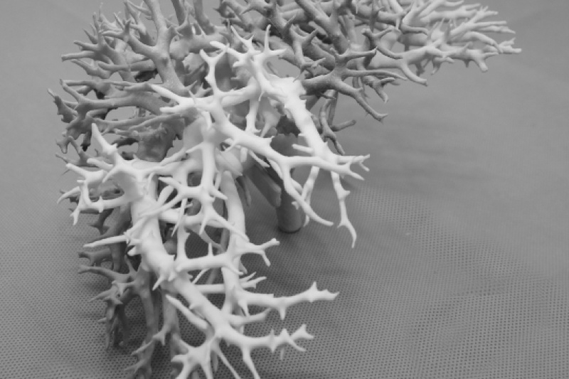 钟世镇院士团队骨骼3D打印技术进入动物试验阶段