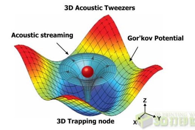 华裔科学家开发“声波镊子”可生物3D打印单细胞