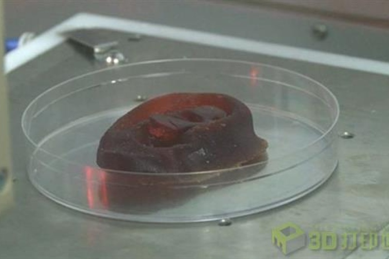 4年内有望用于临床？英国医院研究3D打印鼻子及耳朵