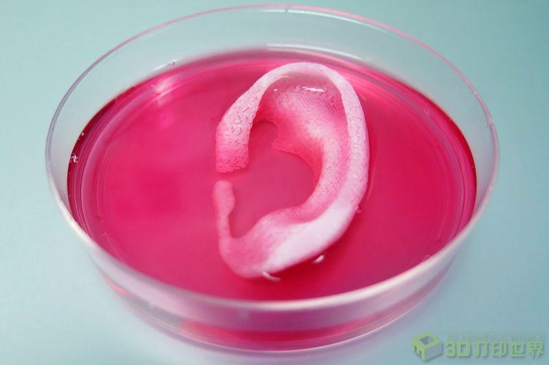 新型生物3D打印机引关注 可按需定制人体“零件”