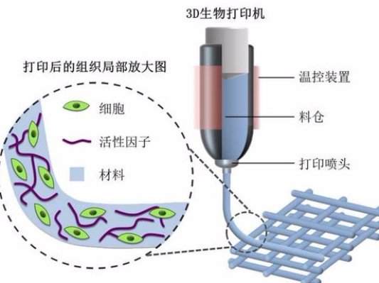 9家海外公司带你预知生物3D打印技术趋势！