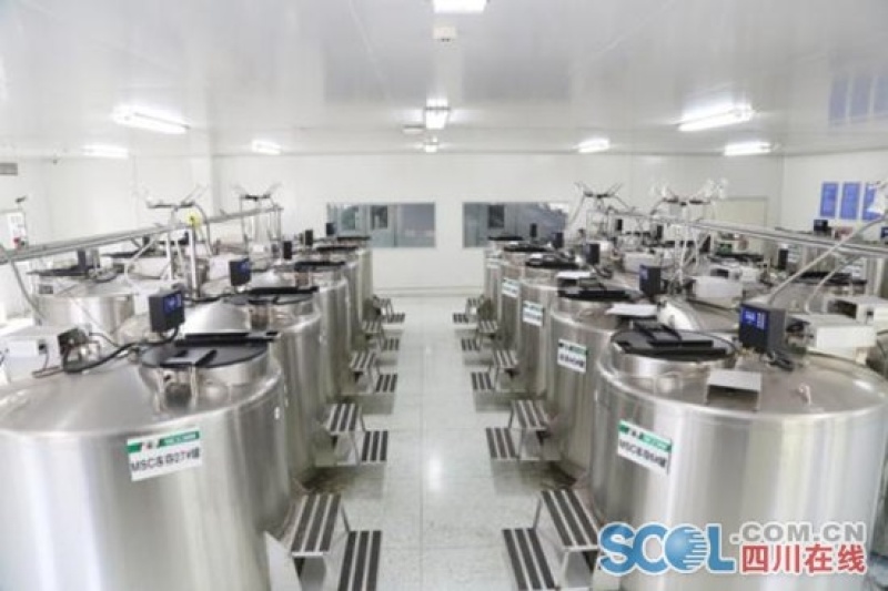脂肪也有大用处！脂肪干细胞结合3D打印技术，让器官再造成为可能