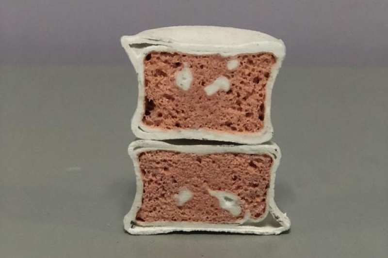 西工大3D打印出可生长发育仿生骨，与自然骨达到高度一致